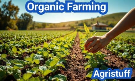 Organic Farming: Everything You Need to Know