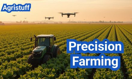 Precision Farming: Everything You Need to Know