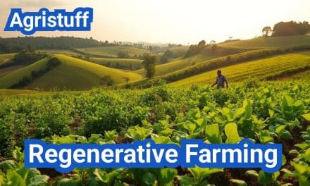 Regenerative Farming: Everything You Need to Know