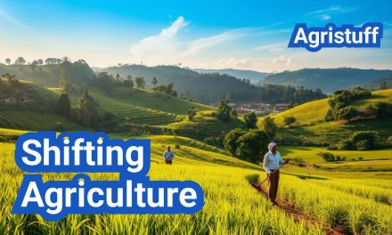 Shifting Agriculture | Definition, Types, Technology, Tools, Benefits & Examples
