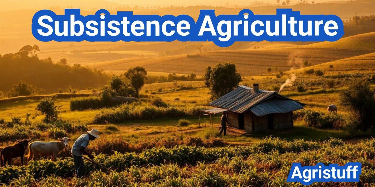 Subsistence Agriculture | Definition, Types, Technology, Tools, Benefits & Examples