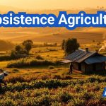 Subsistence Agriculture | Definition, Types, Technology, Tools, Benefits & Examples