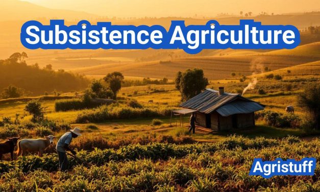 Subsistence Agriculture | Definition, Types, Technology, Tools, Benefits & Examples