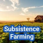 Subsistence Farming: Everything You Need to Know