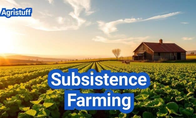 Subsistence Farming: Everything You Need to Know