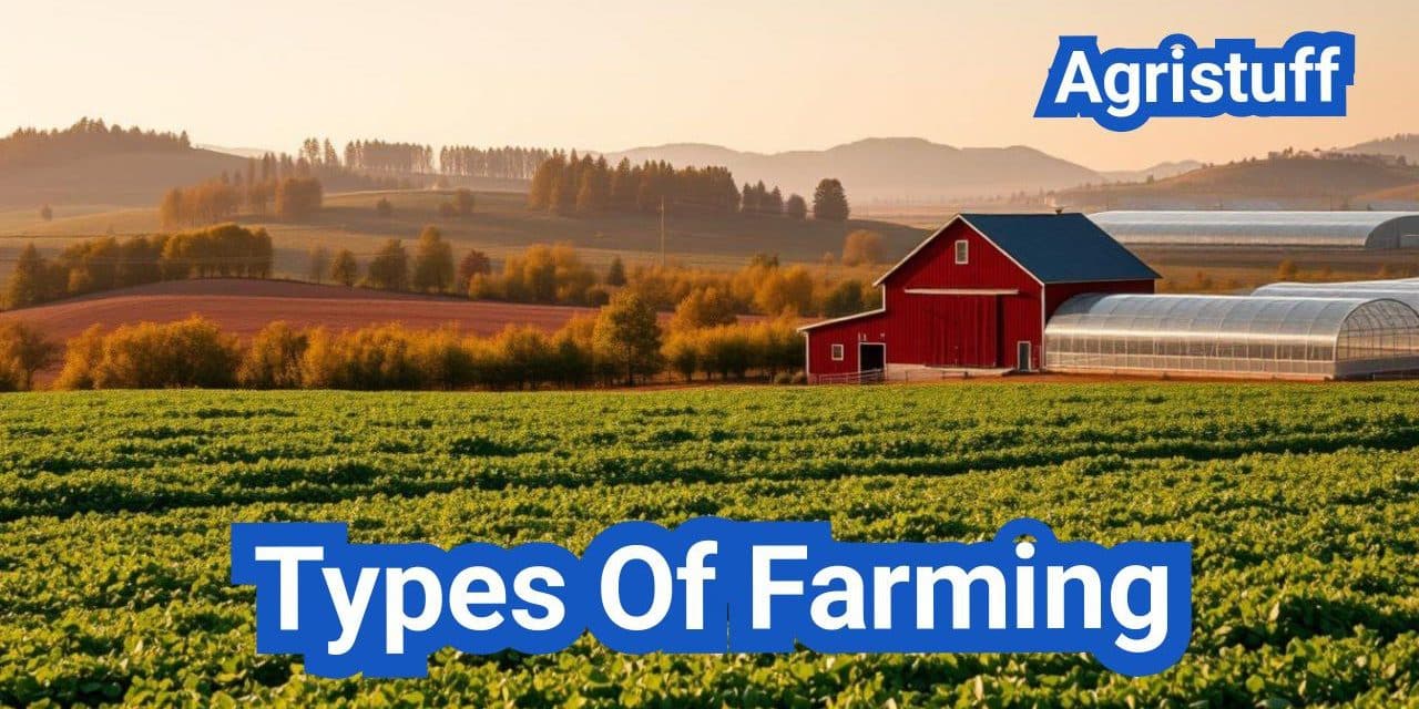 Types Of Farming: Everything You Need to Know
