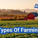 Types Of Farming: Everything You Need to Know