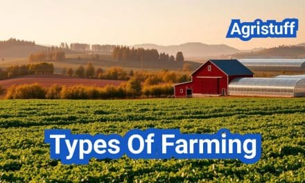 Types Of Farming: Everything You Need to Know