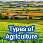 Types of Agriculture: Everything You Need to Know