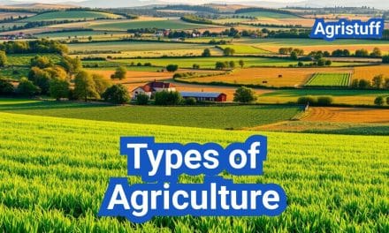 Types of Agriculture: Everything You Need to Know