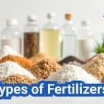 Types of Fertilizers: Everything You Need To Know