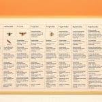 Types of pesticides: Everything You Need to Know