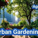 Urban Gardening 101: Tips for Starting Your City Garden