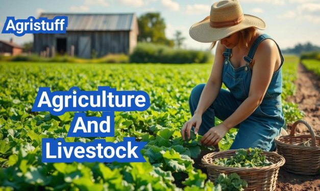 Agriculture And Livestock Farming For Beginners