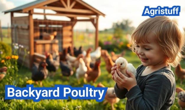 Backyard Poultry: Raising Chickens in Your Backyard Easily