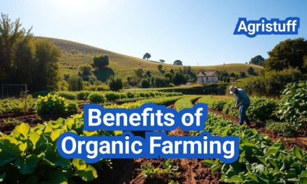 Benefits of Organic Farming