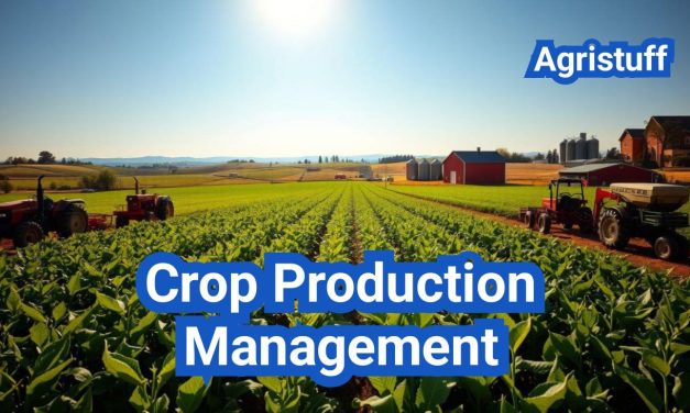 Effective Crop Production Management: A Comprehensive Guide