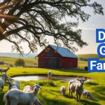 How to Start Dairy Goat Farming: Tips for Beginners