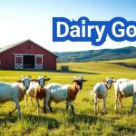 Dairy Goats | Top Breeds and Milking Tips