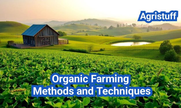 Organic Farming Methods and Techniques