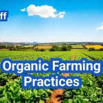 Organic Farming Practices