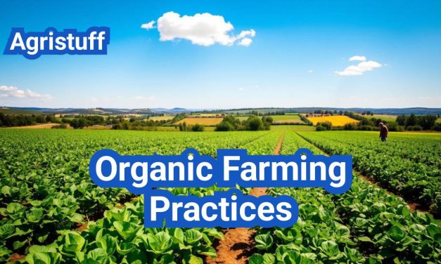 Organic Farming Practices