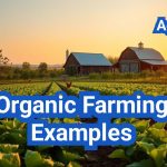 Organic Farming Examples