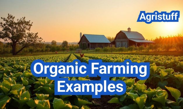 Organic Farming Examples