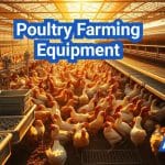 Poultry Farming Equipment Guide: Tools for Profitable Farming