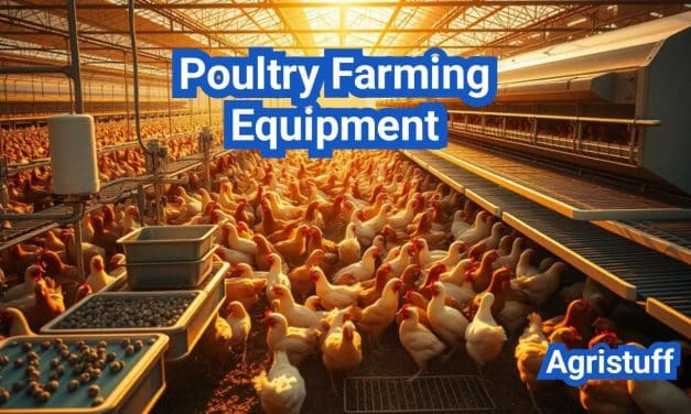 Poultry Farming Equipment Guide: Tools for Profitable Farming