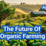 The Future of Organic Farming
