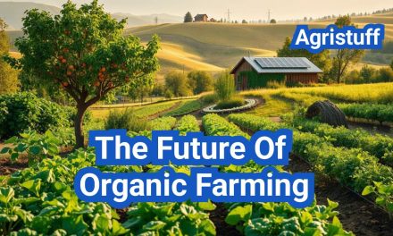The Future of Organic Farming