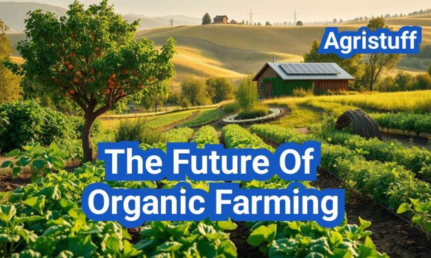 The Future of Organic Farming