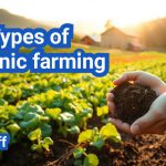 Types of Organic Farming
