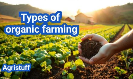 Types of Organic Farming