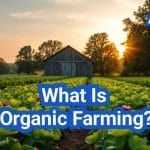 What Is Organic Farming?
