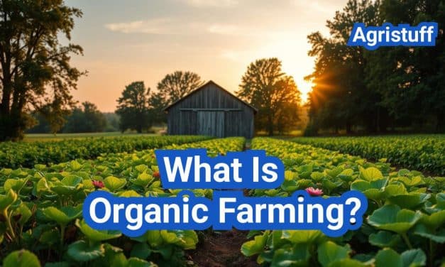 What Is Organic Farming?