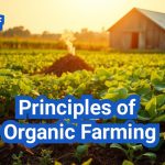 Principles Of Organic Farming