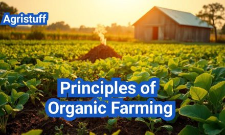Principles of Organic Farming