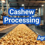Cashew Processing: Grading, Roasting, and Packaging for U.S. Importers