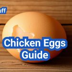 Chicken Eggs Guide: Boosting Egg Quality & Production