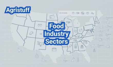 Food Industry Sectors: How the U.S. Market Is Divided and Why It Matters