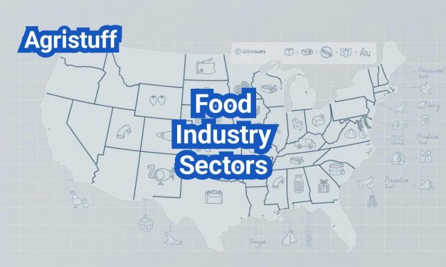 Food Industry Sectors: How the U.S. Market Is Divided and Why It Matters