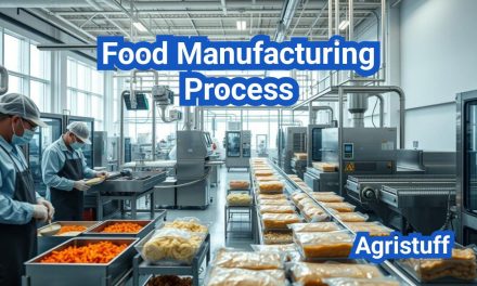 Food Manufacturing Process: From Raw Materials to Finished Goods (U.S. Guide)