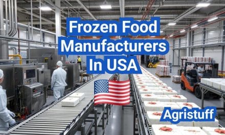 Frozen Food Manufacturers: IQF vs. Block Freezing and Retail Readiness in the U.S.