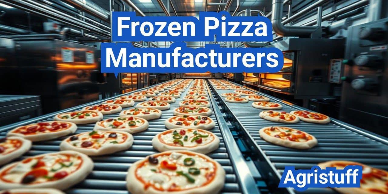 Frozen Pizza Manufacturers: Dough, Topping Lines, and Freezing Methods