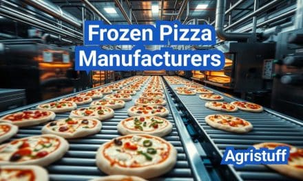 Frozen Pizza Manufacturers: Dough, Topping Lines, and Freezing Methods
