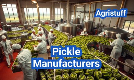 Pickle Manufacturers: Fermentation vs. Quick-Pickle Methods for U.S. Shelves
