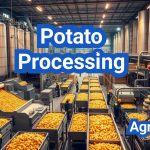 Potato Processing: Fries, Flakes, and Chips—How U.S. Plants Do It