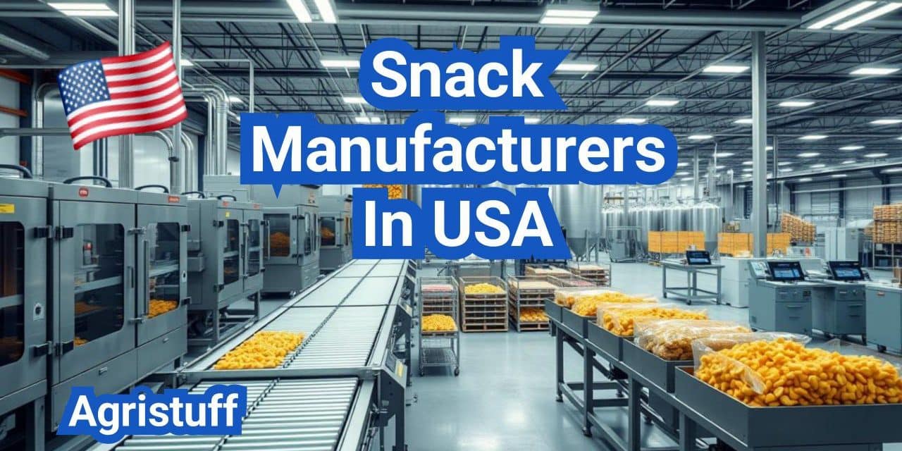 Snack Manufacturers: Frying vs. Baking, Seasoning, and Shelf Life (U.S. Focus)